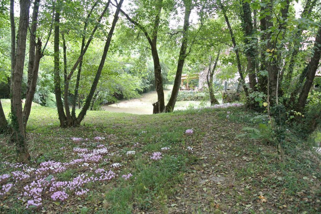 Moulin De Repassat Etape Voie Verte Bazens Exteriér fotografie